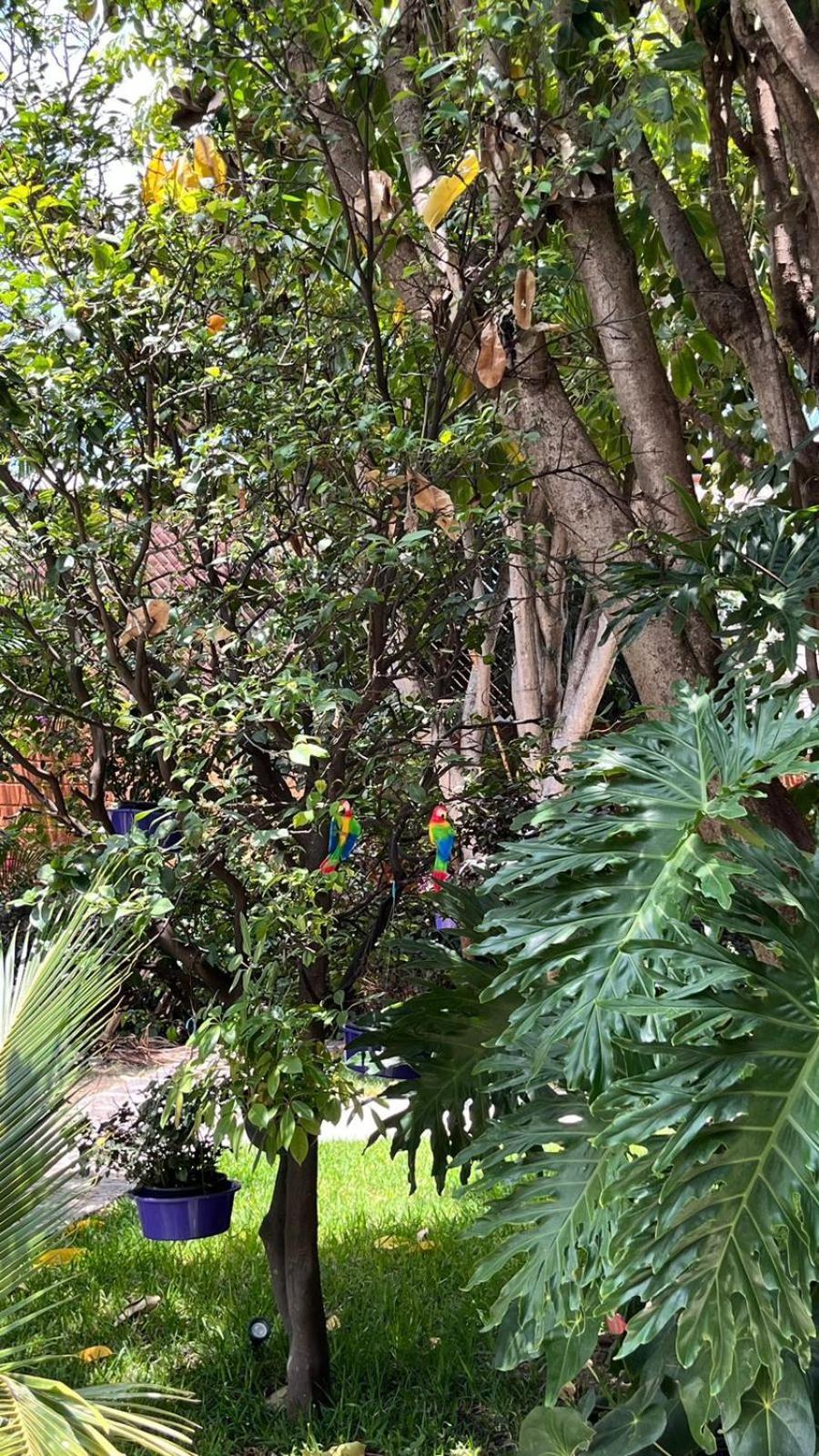 Apartament Casa Calnacazco Tepoztlán Zewnętrze zdjęcie